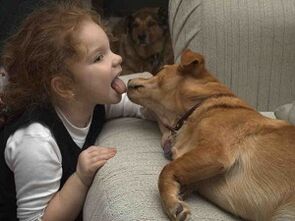A child kisses a dog and infested with parasites