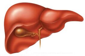 liver enlarged by parasites